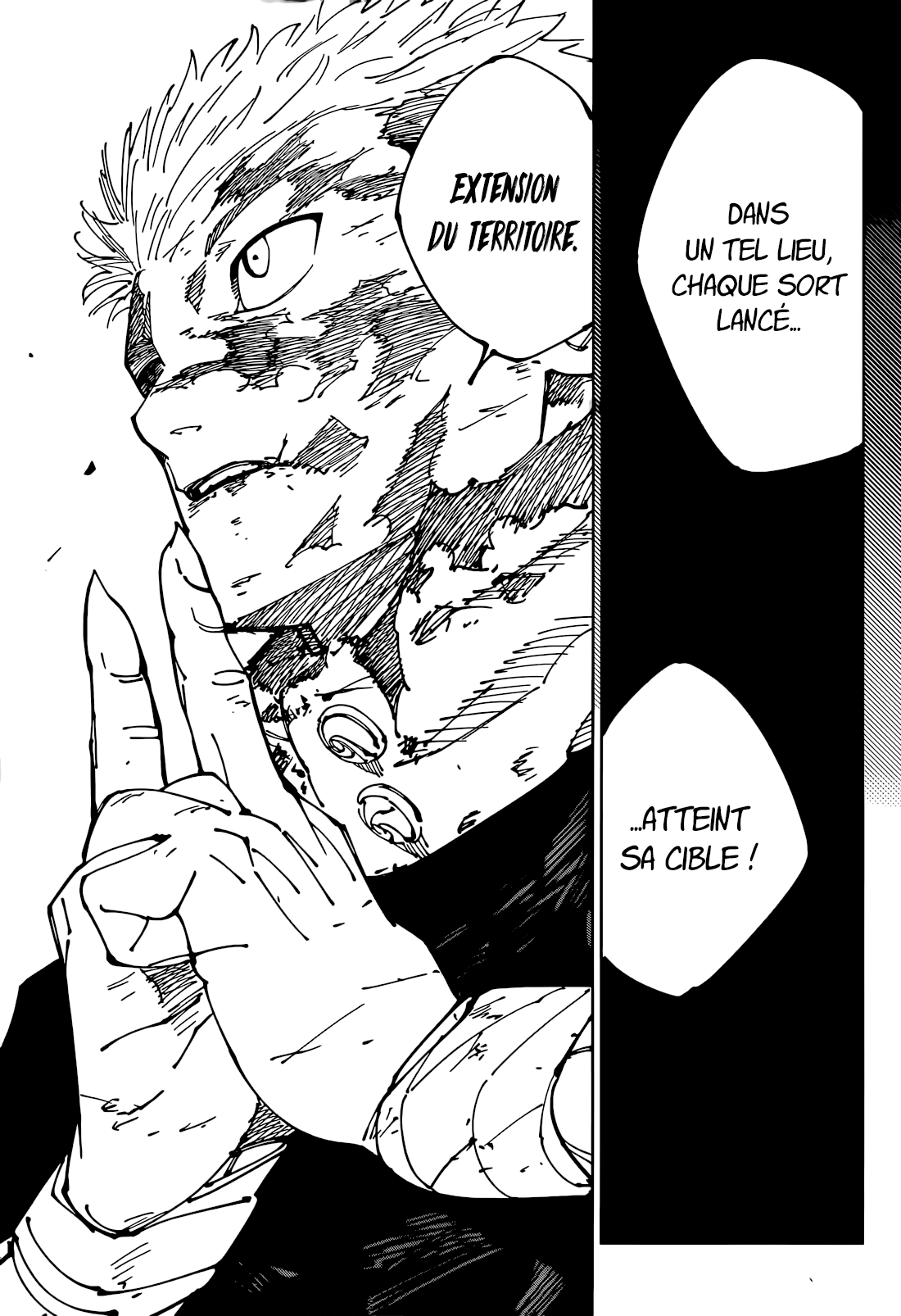 Jujutsu Kaisen 264 Page 17
